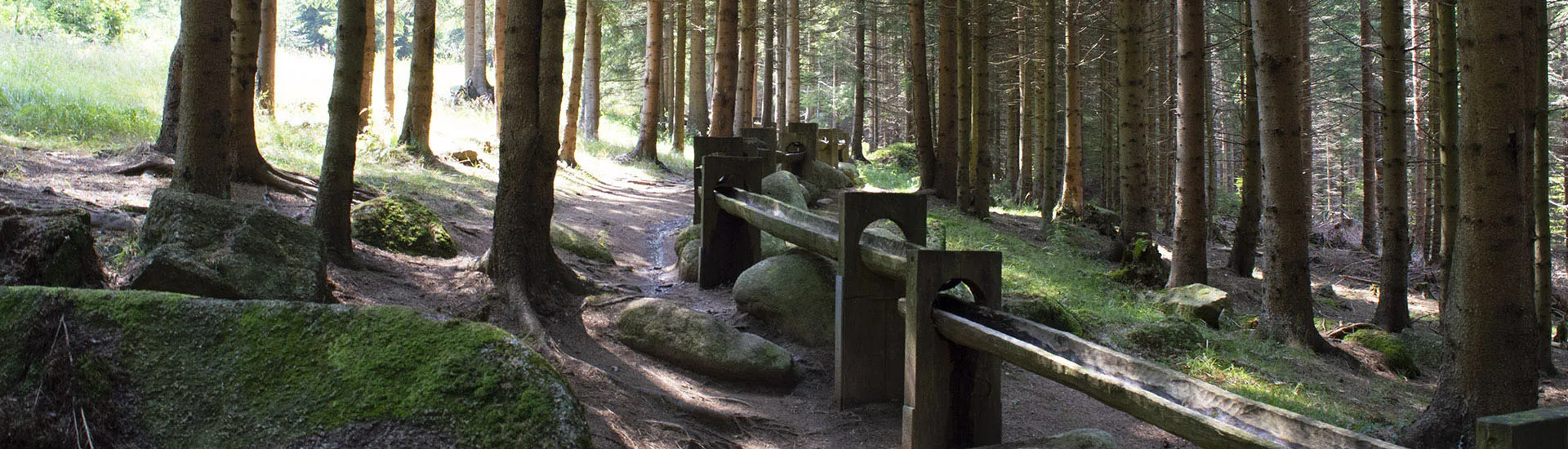 Hauswaldská kaple