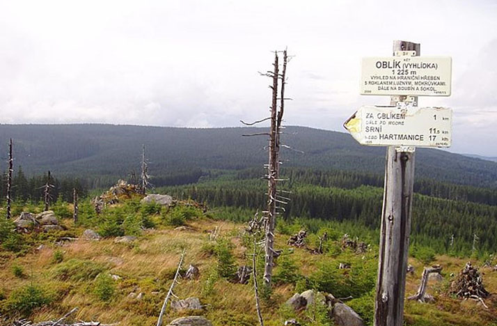 Gipfel Oblík (1.225 m ü. M.)