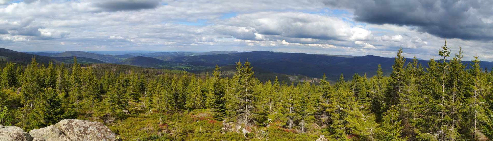 Vrchol Oblík (1 225 m n.m.)