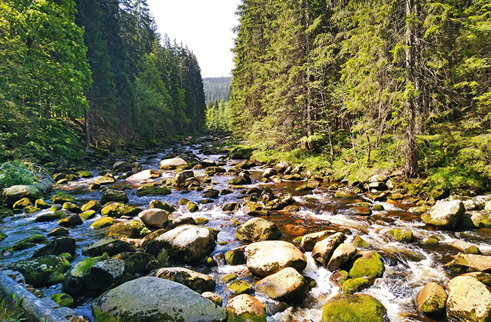 Povydří Canyon & Turner Hütte