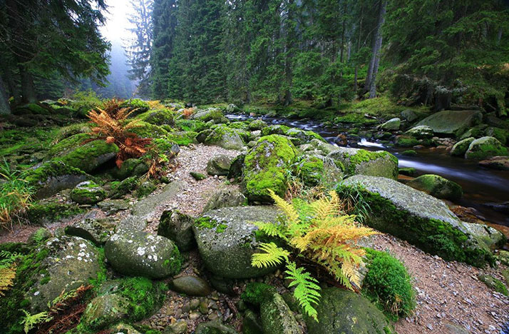 Povydří Canyon & Turner Hütte 3