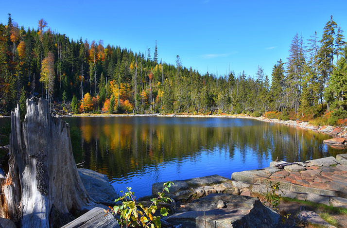 Stubenbacher See (Prášilské jezero)