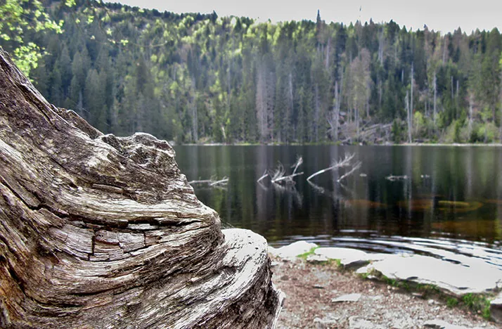Prášilské jezero 2