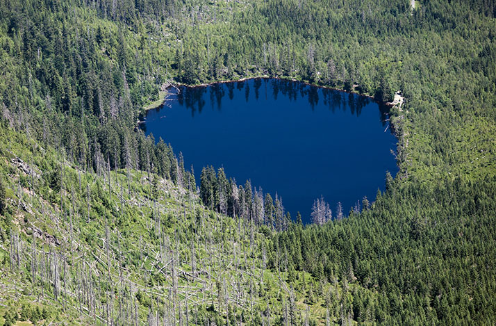 Stubenbacher See (Prášilské jezero) 3