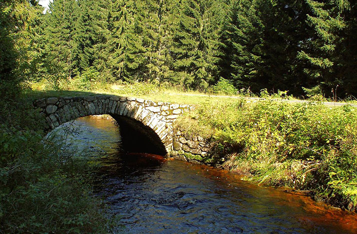 Chinitz-Tettauer Schwemmkanal