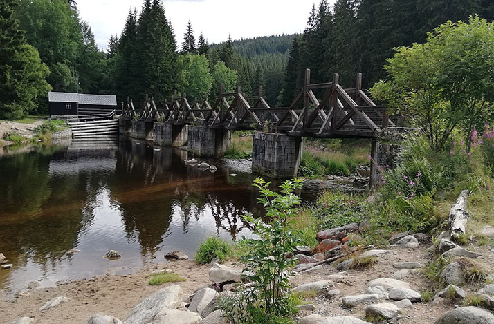 Chinitz-Tettauer Schwemmkanal 2