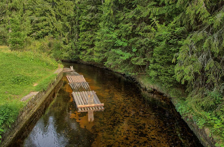 Chinitz-Tettauer Schwemmkanal 3