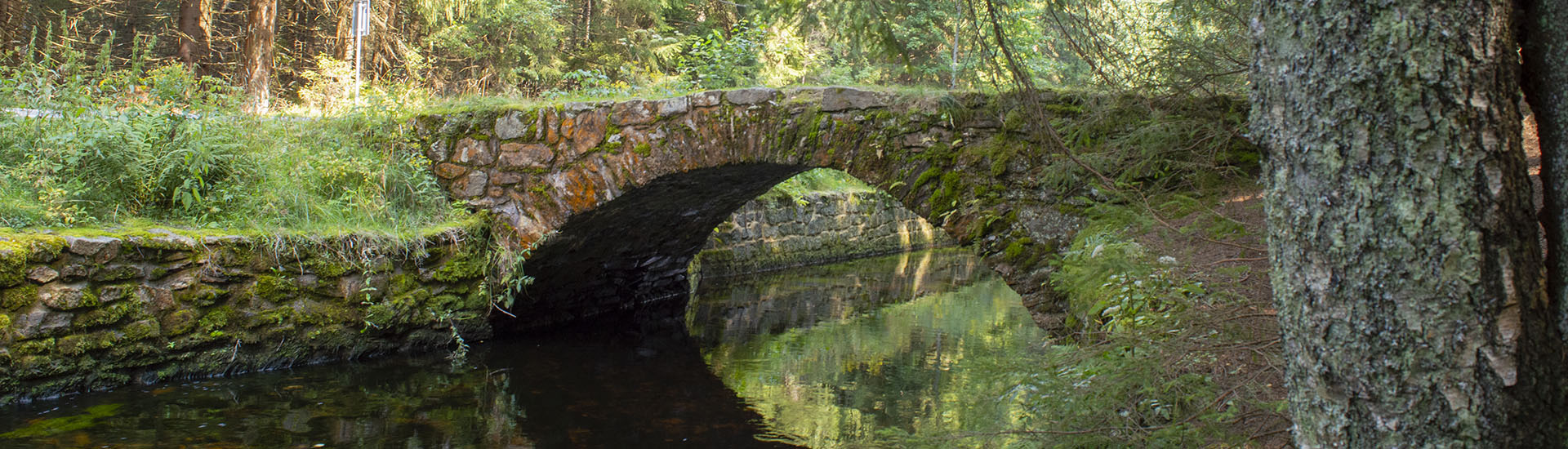 Chinitz-Tettauer Schwemmkanal