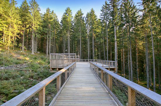 Wolfs-Lehrpfad & Besucherzentrum Srní